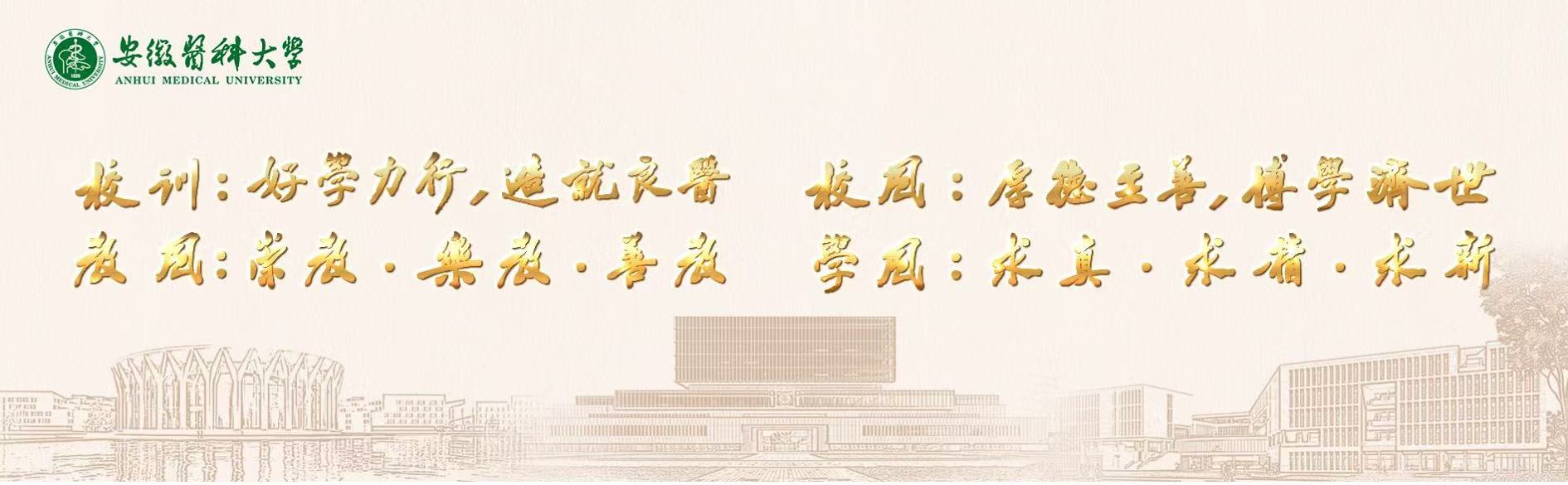 新澳门六合彩内幕